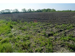 Property photo 19 - LAND AUCTION - 215+/- ACRES OFFERED IN 6 TRACTS IN VAN WERT COUNTY, OHIO